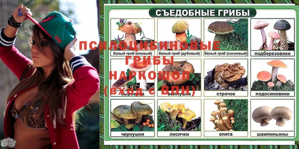 прущие грибы Беломорск
