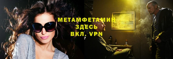 прущие грибы Беломорск