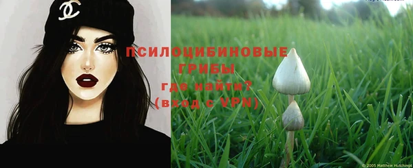 дурь Белокуриха