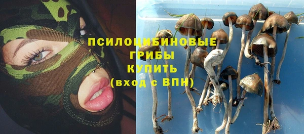 прущие грибы Беломорск
