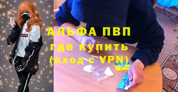 прущие грибы Беломорск