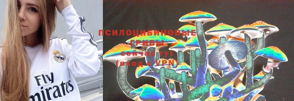 прущие грибы Беломорск