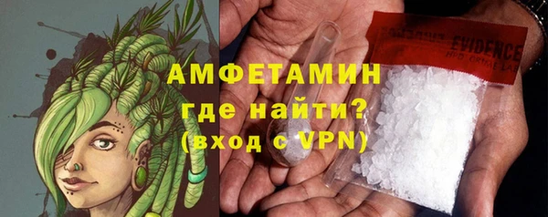 прущие грибы Беломорск