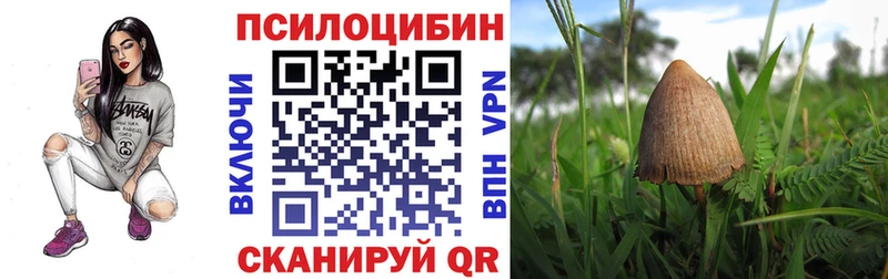 Псилоцибиновые грибы GOLDEN TEACHER  даркнет какой сайт  Новый Уренгой 