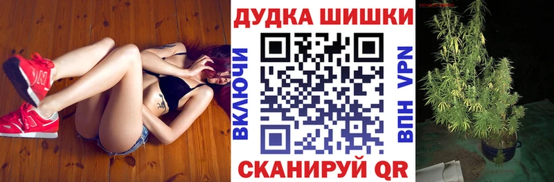 Марихуана White Widow  Новый Уренгой 